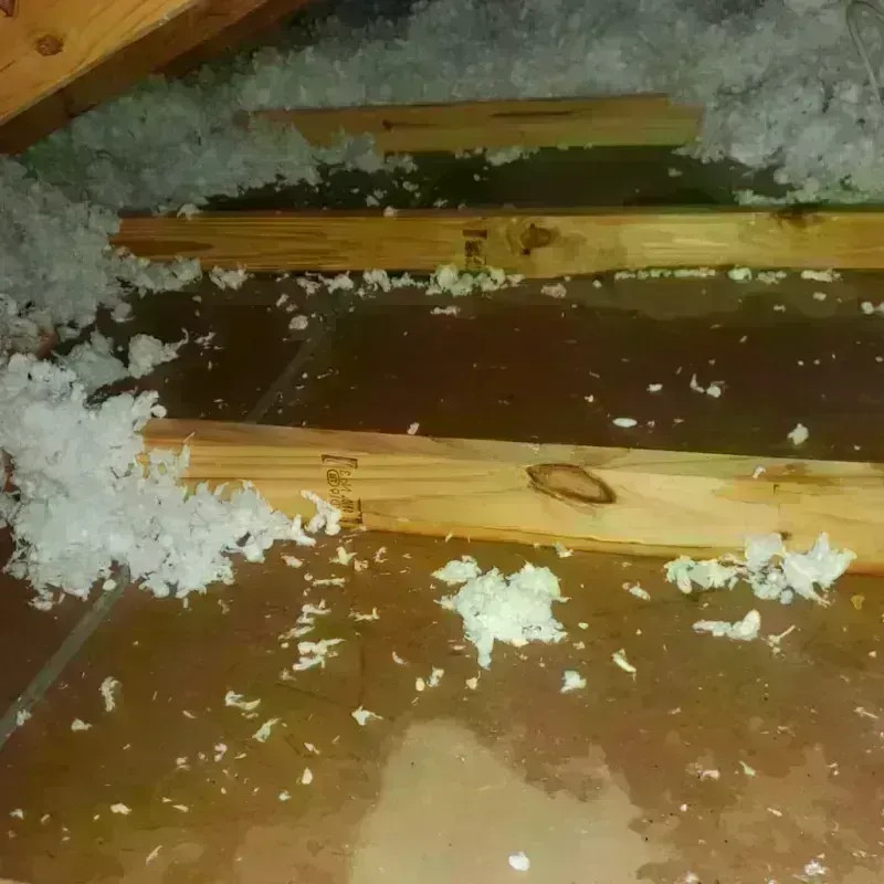 Attic Water Damage in Hiram, GA