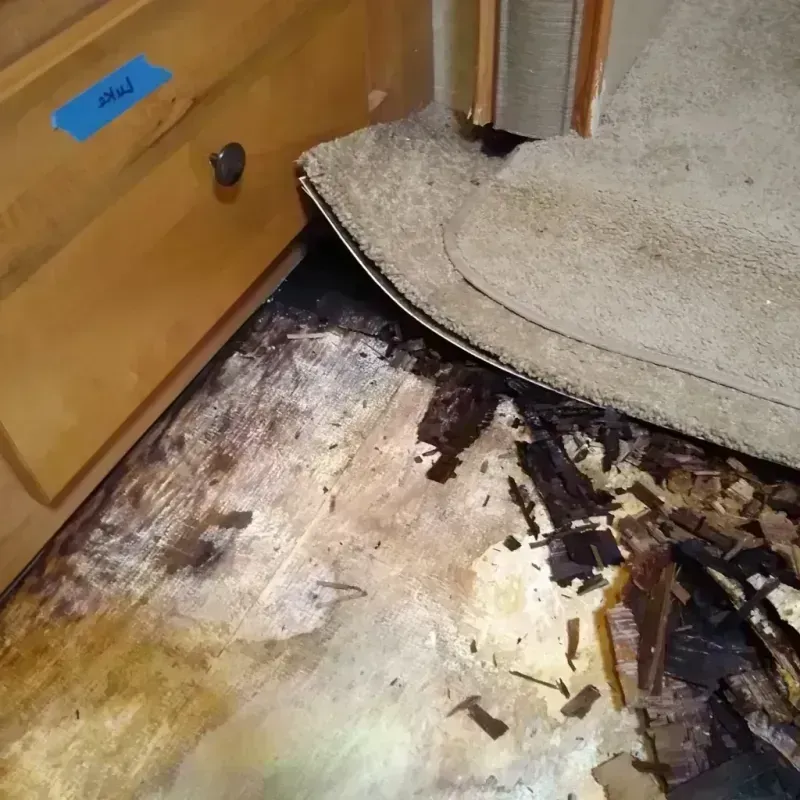 Wood Floor Water Damage in Hiram, GA